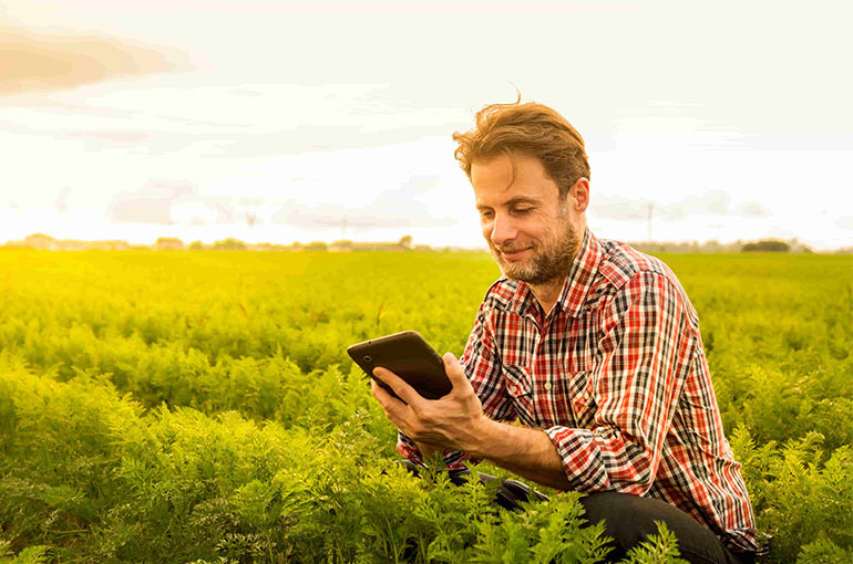 Enquête chaire MEA Enquête chaire MEA