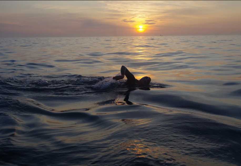 Someone swimming in the sea
