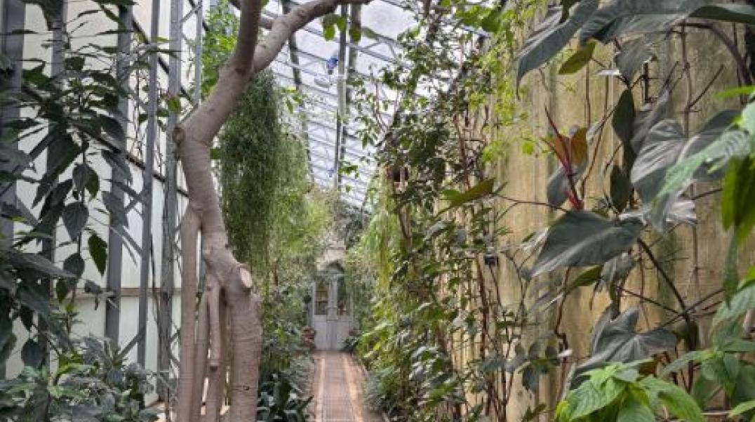 Botanic Garden Greenhouse