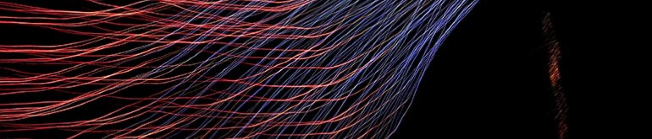 Digitalisation et Innovation dans les Organisations et les Territoires