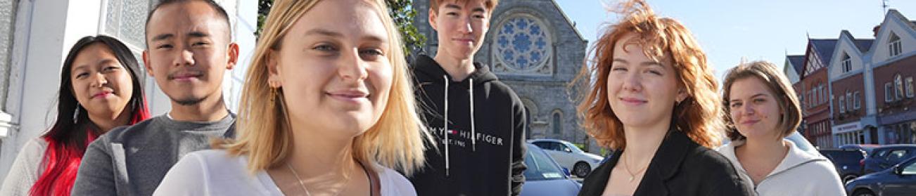 Lutte contre les VSS