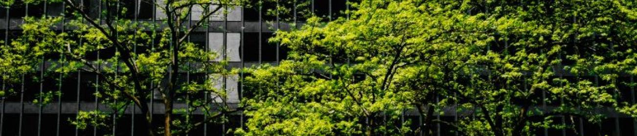 Corporate Social Responsibility