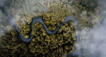 Le Mouvement Sulitest change d’échelle et lève 1,5 million d’euros