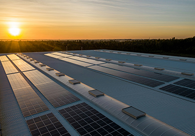 MSc Environmental, Social, Governance & Sustainable Finance