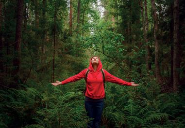 MSc Sustainable Business Strategy